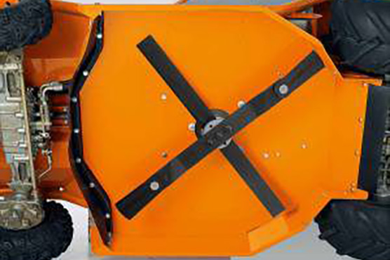 Box 1 kép