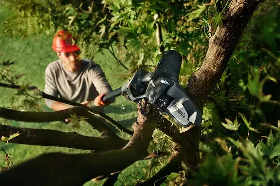 Box 2 kép